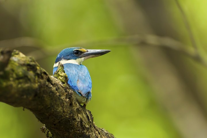 Junam Wetlands and Haeinsa Temple Tour